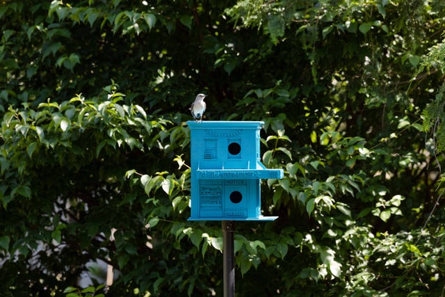 brooklyn botanic garden birdhouses