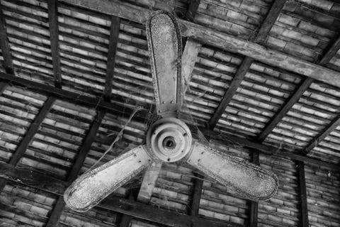 Old Ceiling fan and cobwebs