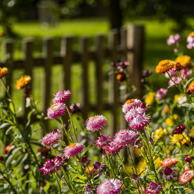 7 garden laws you might not know you're breaking