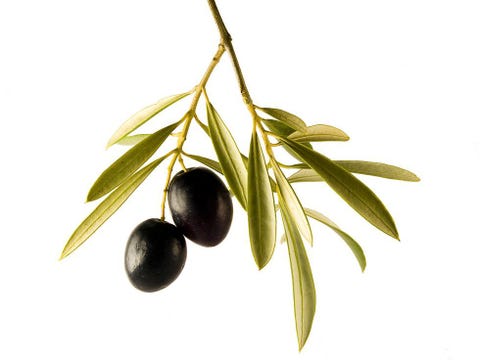 Olives