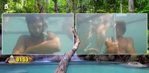 Nature, Tree, Leisure, Organism, Vacation, Swimming pool, Plant, Jungle, Screenshot, Nature, Tree, Leisure, Organism, Vacation, Swimming pool, Plant, Jungle, Screenshot,