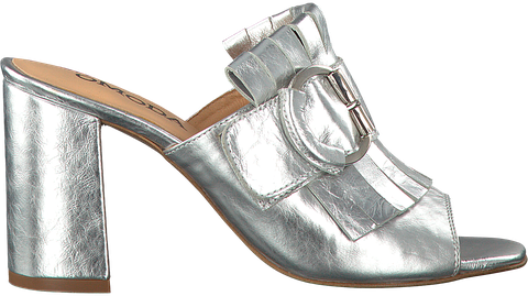 footwear, sandal, shoe, silver, high heels, dancing shoe, bridal shoe, metal, strap,