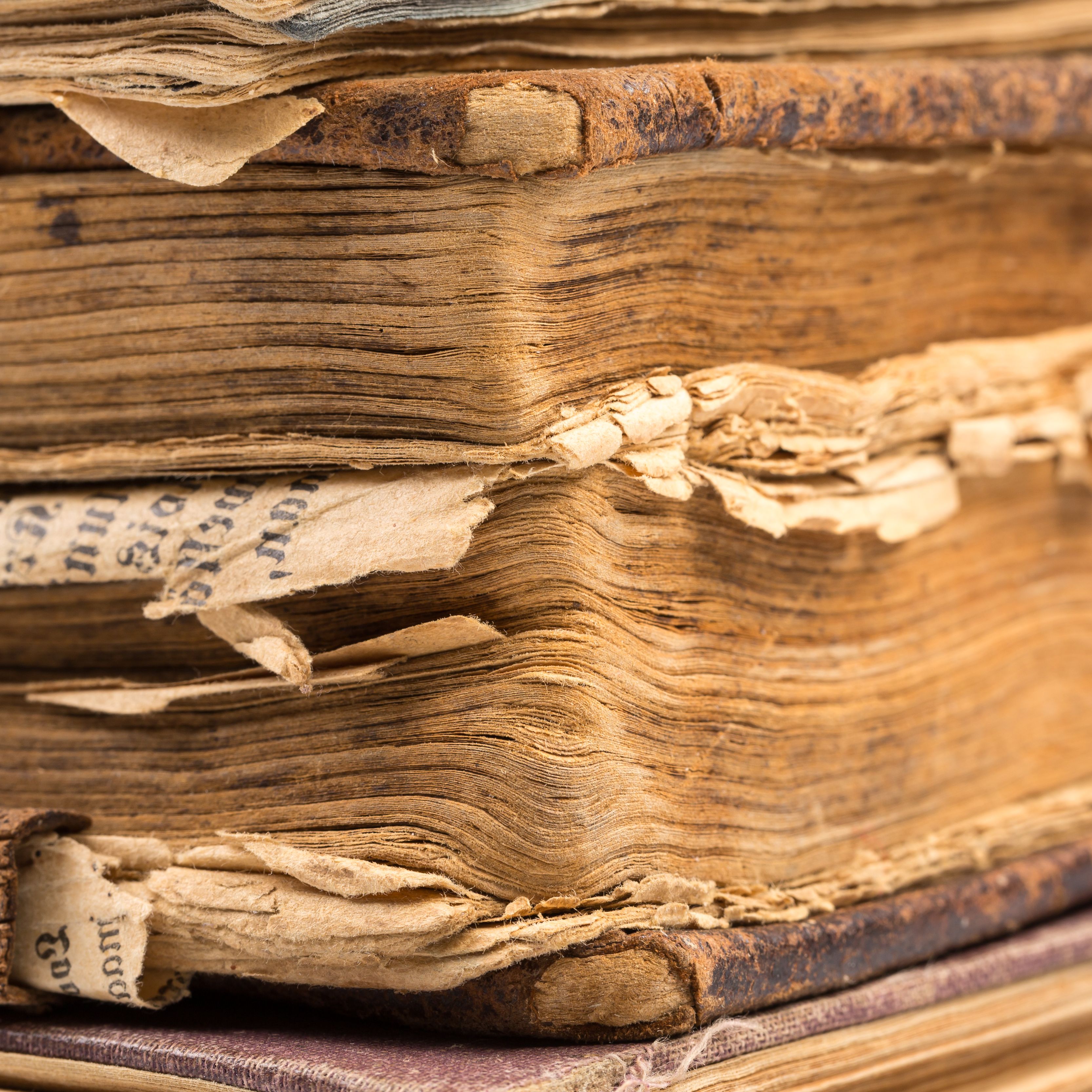 Researchers Discovered a Rare 13th-Century Manuscript. It Was Hiding in Plain Sight All Along.