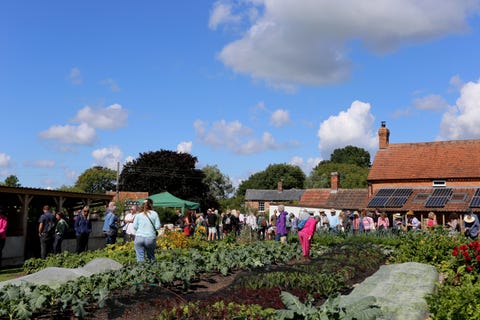 Charles Dowding no dig garden 