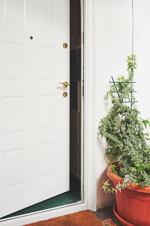 10 Front Door Plant Ideas Best Plants, Outdoor Plants For Front Door