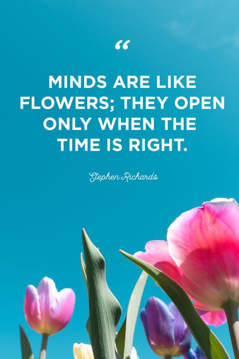 30 Inspirational Flower Quotes - Cute Flower Sayings About 