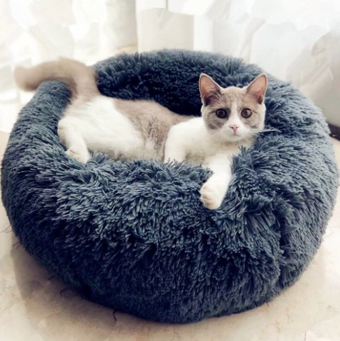The Marshmallow Cat Bed is the Best Bed Ever