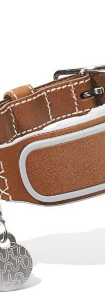 Dog collar, Collar, Fashion accessory, Brown, Tan, Leather, Beige, Leash, Belt, Bracelet, 