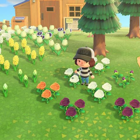 How To Grow Animal Crossing Flowers, Acnh Flower Garden Design Ideas