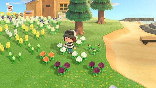 How To Grow Animal Crossing Flowers Flower Breeding Layout