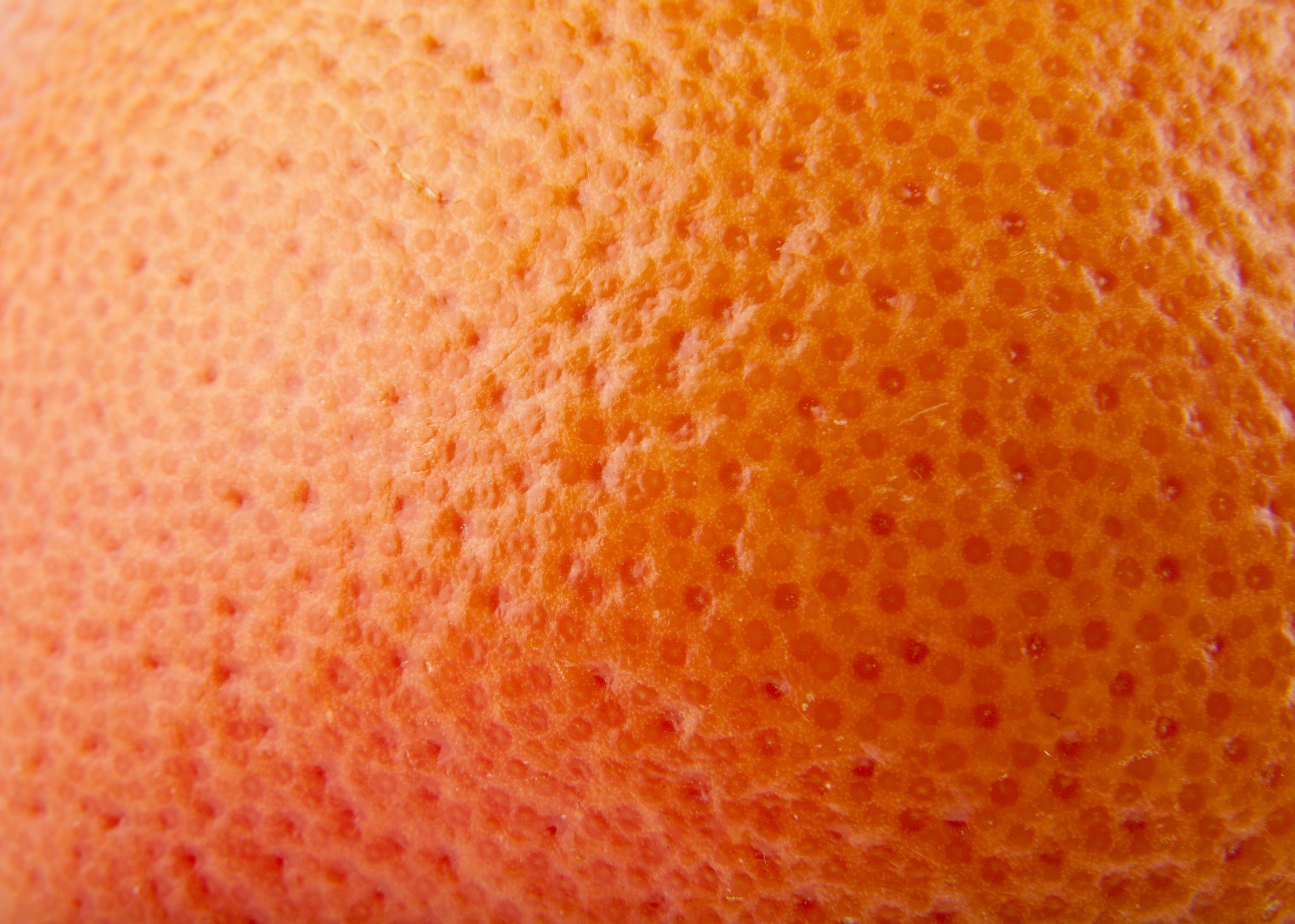 Макро текстура оранжевого фрукта