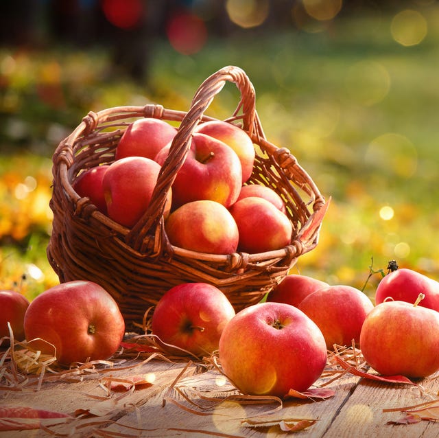 apples in a basket outdoor sunny background autumn garden