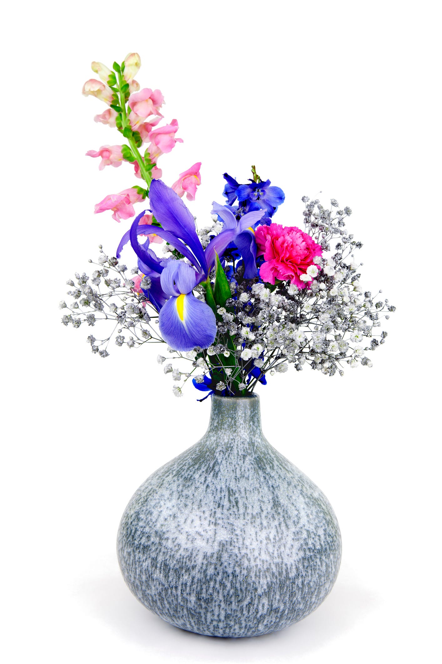 Blume, Vase, Schnittblumen, Strauß, Pflanze, Blumentopf, Ikebana, Stillleben, Rittersporn, Artefakt, 