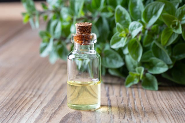 oregano oil health benefits