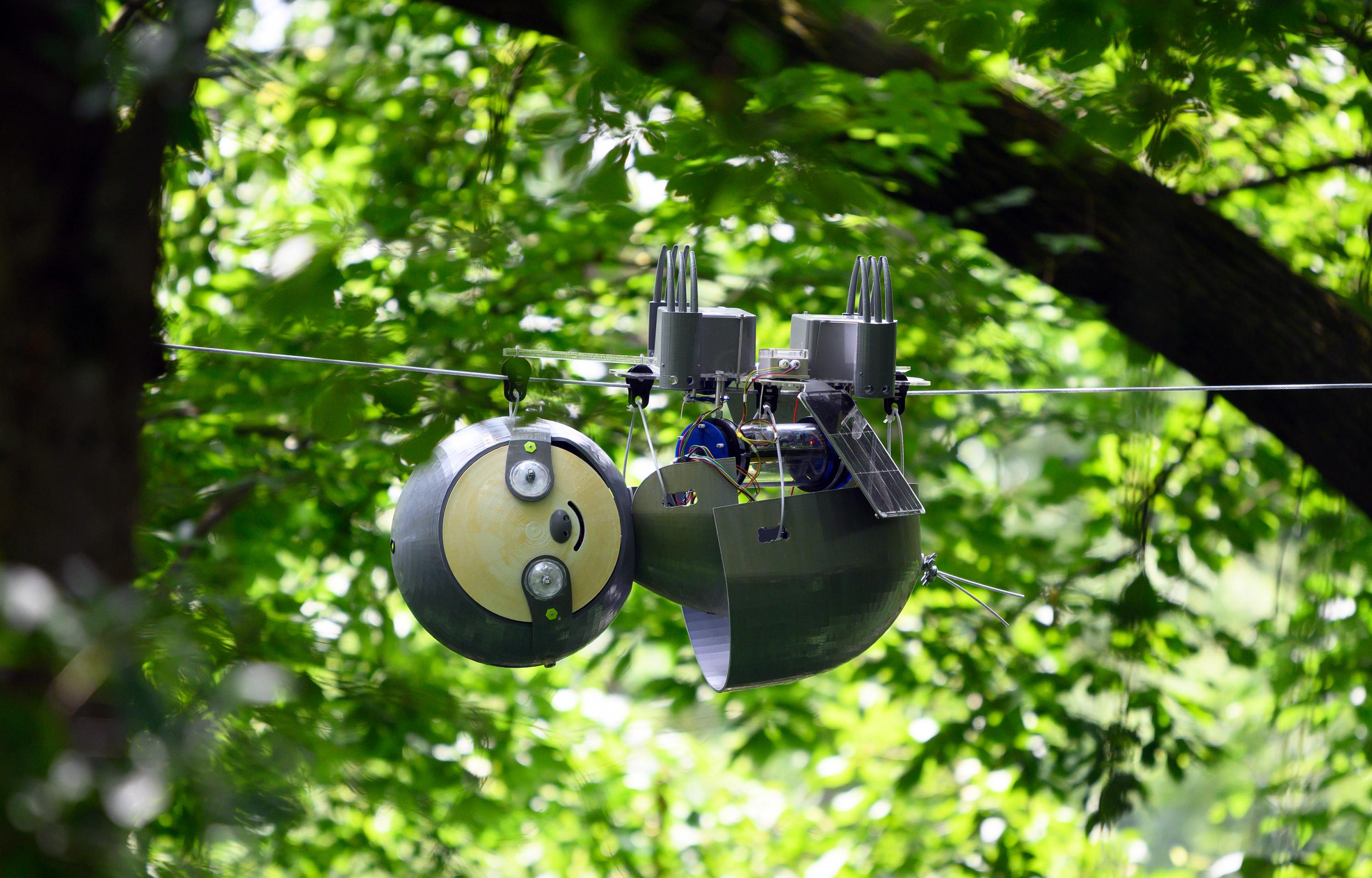 This Lazy 'SlothBot' Could Change Conservation Forever