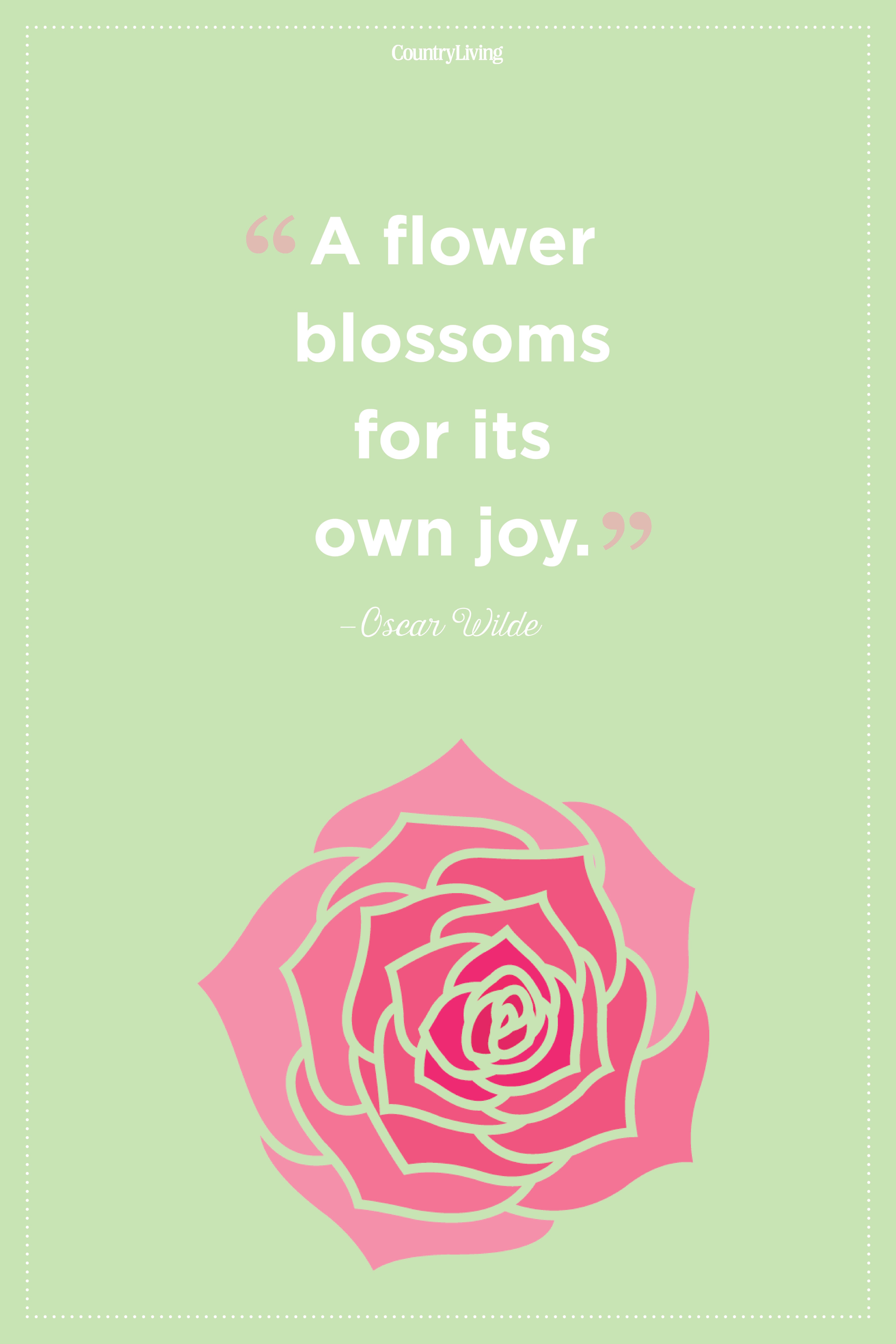 20 Inspirational Flower Quotes Cute Flower Sayings About Life And Love