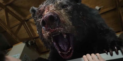 vicious bear cocaine bear