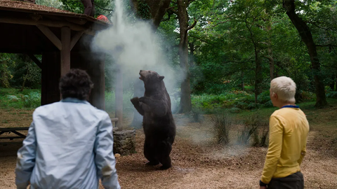 vicious bear