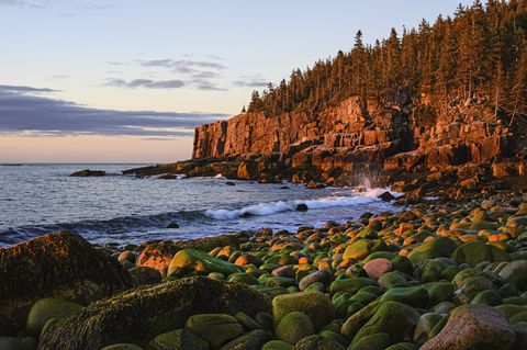 otter cliff at sunrise in acadia national park, usa