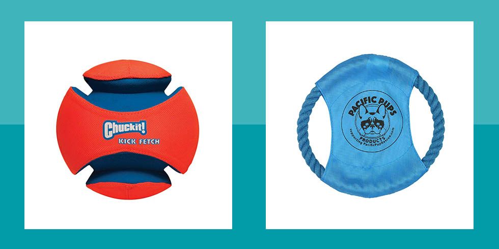 best outdoor toys for dogs