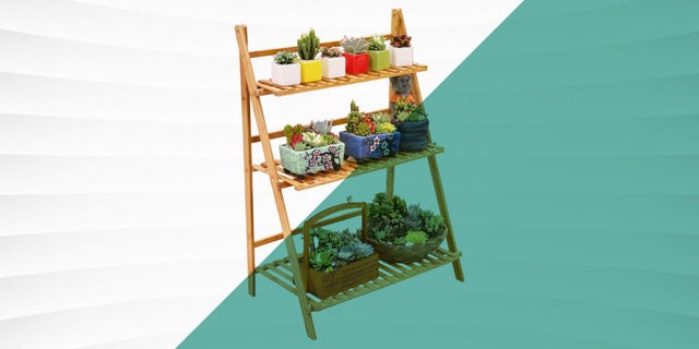 The ten Finest Plant Stands for 2022