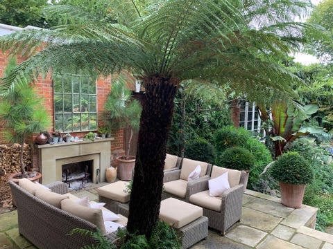 Garden by Cleve West MSGD garden by cleve west msgd