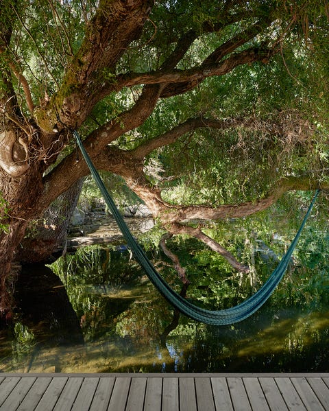 outdoor hammock over water