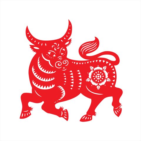 ox papercut, year of the ox, 2021, happy new year, chinese new year