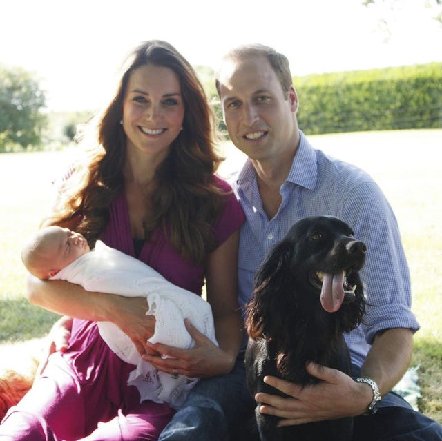 kate middleton, prince william, lupo