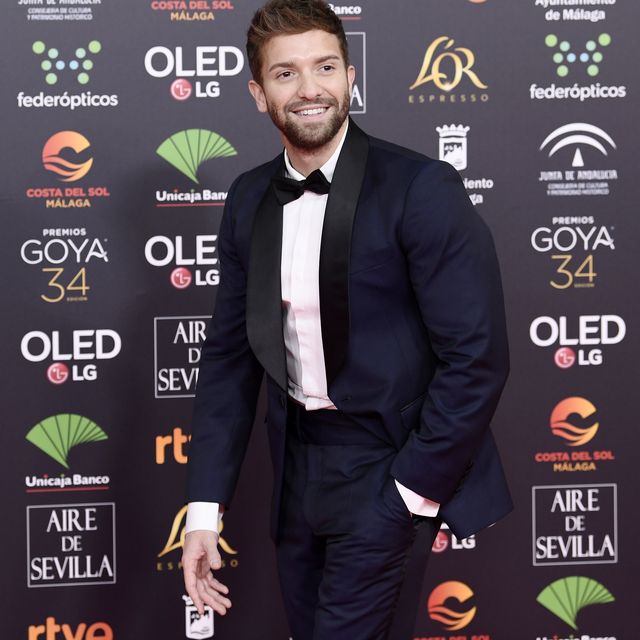 malaga, spain   january 25 pablo alboran attends the goya cinema awards 2020 during the 34th edition of the goya cinema awards at jose maria martin carpena sports palace on january 25, 2020 in malaga, spain photo by carlos alvarezgetty images