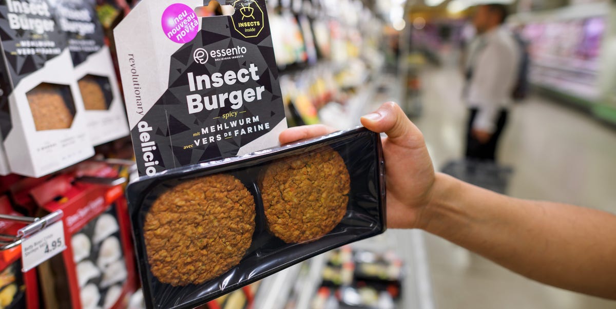 Waarom is het eten van insecten nog steeds niet ingeburgerd in Nederland?