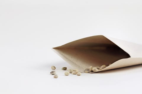 What to Do About Mystery Seeds From China what to do about mystery seeds from china