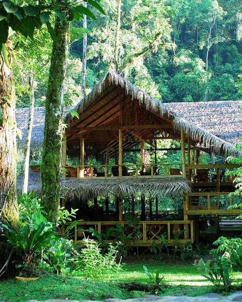 Luxury Treehouses - Resorts and Hotels in Forests - Nature Vacations