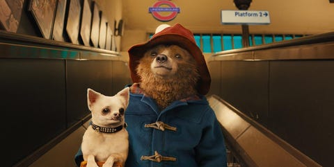 paddington