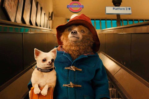 paddington 2