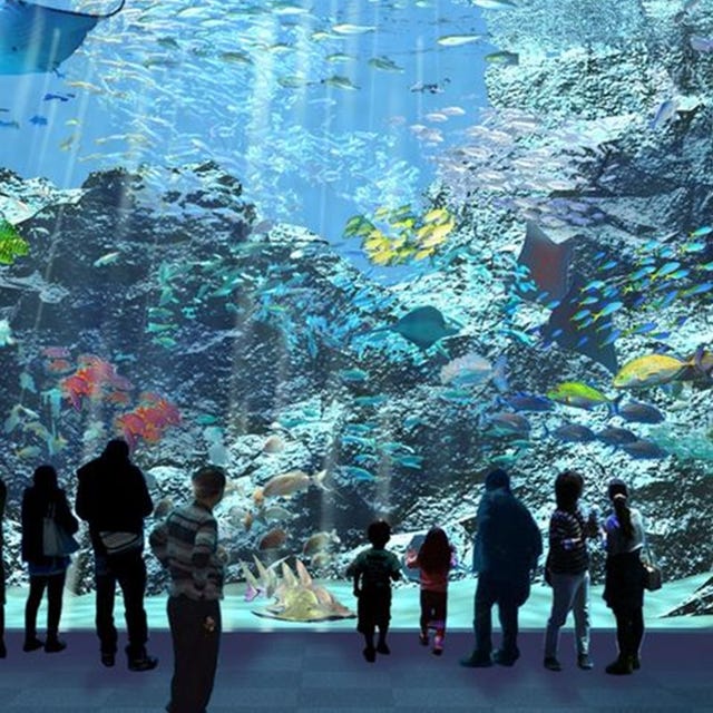 國際級地標 全台最美水族館 Xpark 8 7盛大開幕 6大展區 票價公開 國際級地標 全台最美水族館 Xpark 8 7盛大開幕 6大展區 票價公開