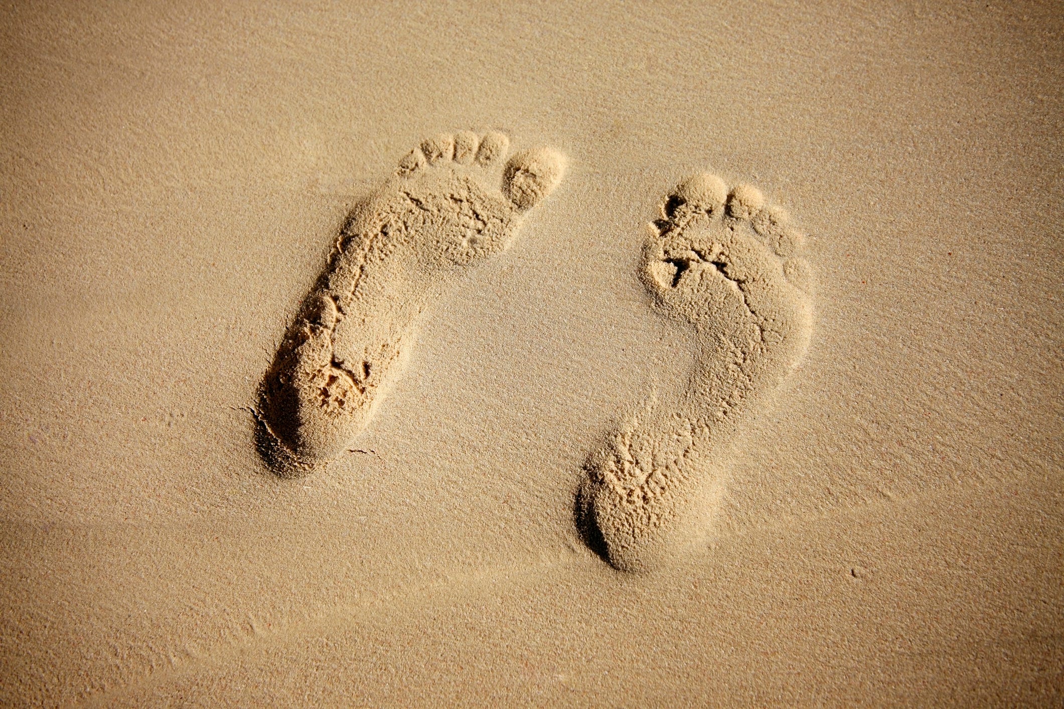 Archaeologists Found Ancient Footprints of Two Human Species Whose Paths Mysteriously Crossed