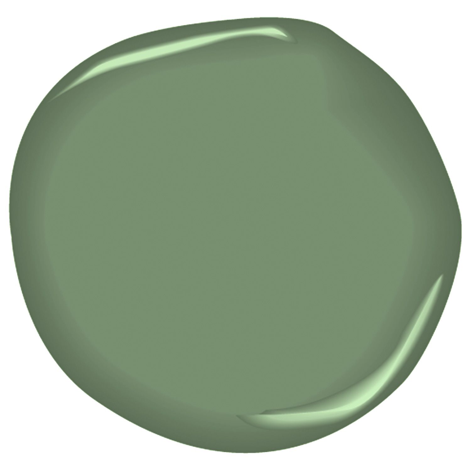 sage green paint color palette