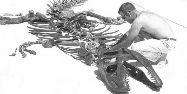 恐竜新研究 アロサウルス ジムマドセニが500万年前に存在していた可能性 恐竜新研究 アロサウルス ジムマドセニが500万年前に存在していた可能性