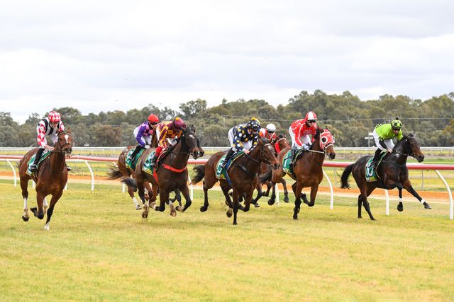 horses race down the home straight on the first lap during the running of the mildura rural city council maiden plate at mildura racecourse on july 23, 2021 in mildura, australia pat scalaracing photos via getty images
