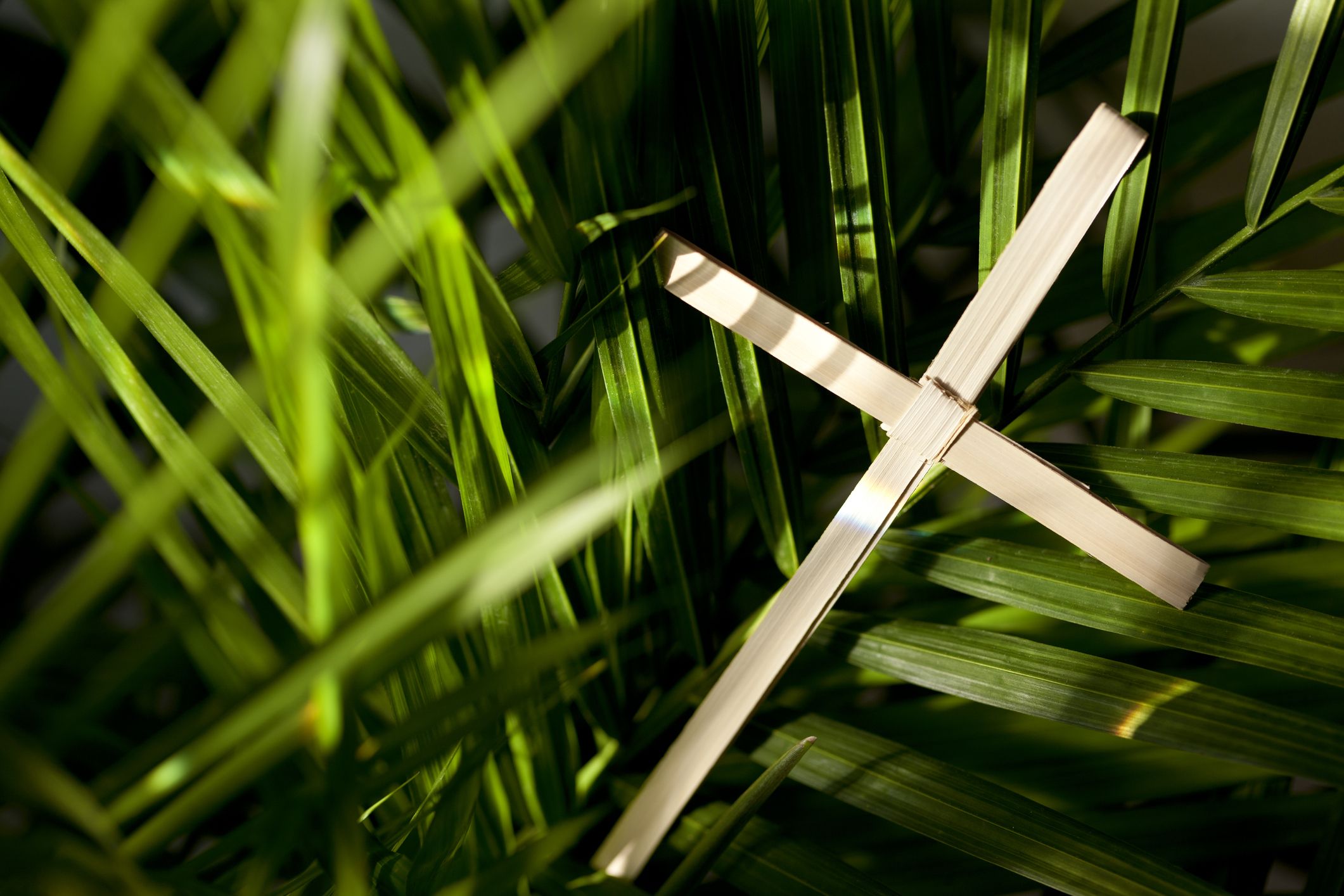 palm sunday 2021 date