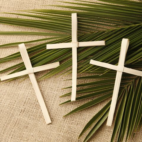 Image result for Palm Sunday