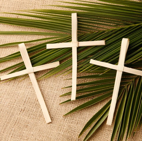 Image result for Palm Sunday