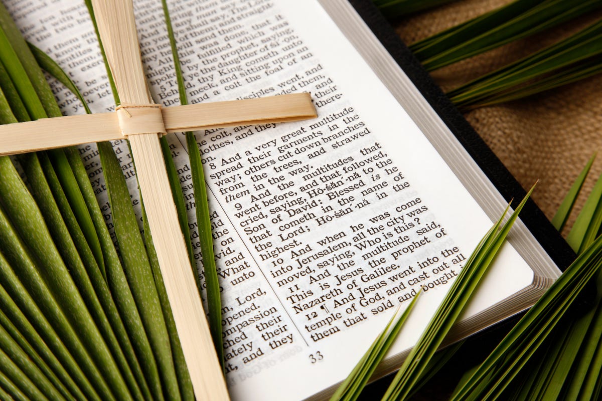 15-palm-sunday-scriptures-top-bible-verses-for-palm-sunday