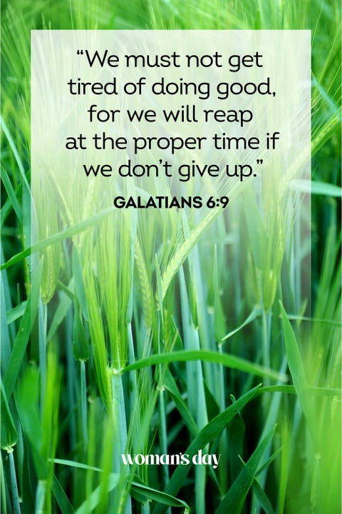 Holy Week Quotes From The Bible 30 Palm Sunday Scriptures - Top Bible Verses For Palm Sunday Holy Week Quotes From The Bible 30 Palm Sunday Scriptures - Top Bible Verses For Palm Sunday