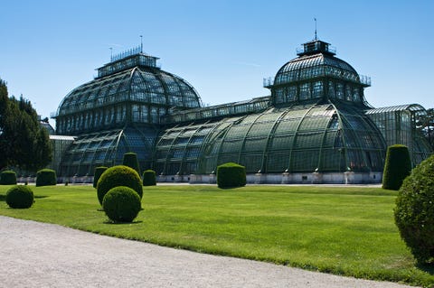 palm house at schönbrunn palace park in vienna