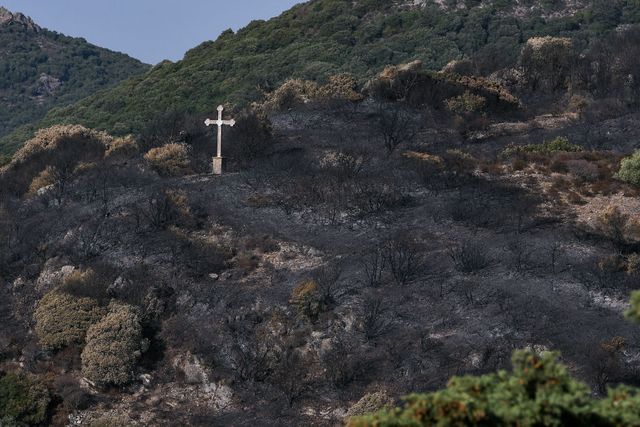 sardinia devastated by largest wildfires in decades