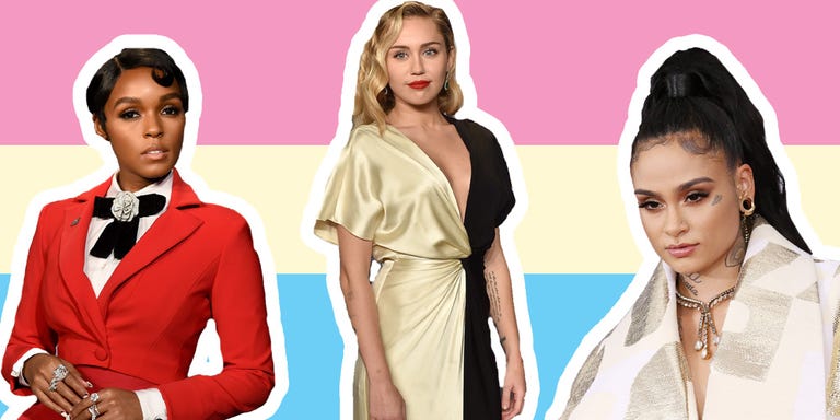 What is Pansexuality? - Pansexual vs. Bisexual Definition ...