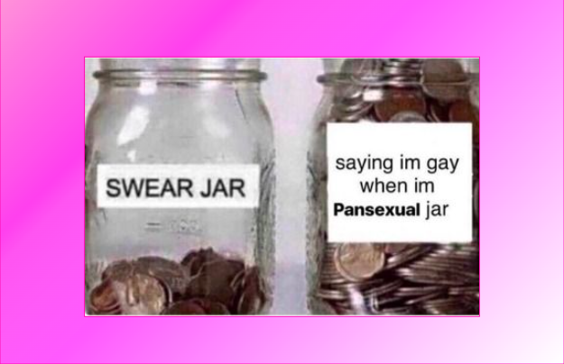 Pansexual memes - 18 of the best pansexual memes in 2020