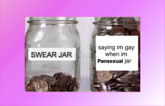 Pansexual memes - 18 of the best pansexual memes in 2020